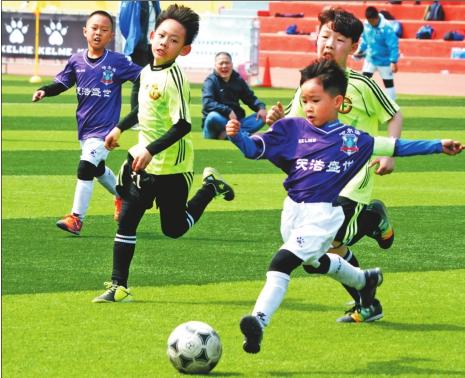 野先锋小龙