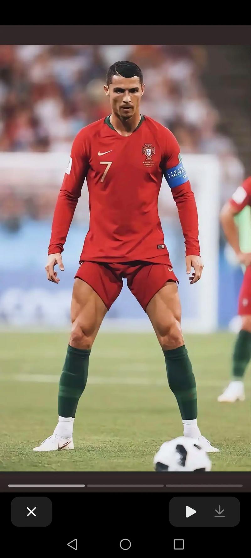 与技